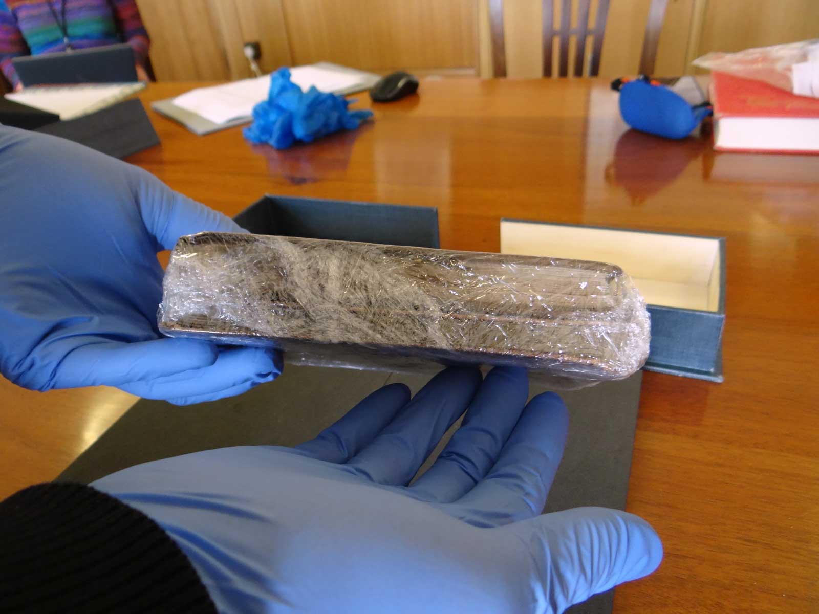 Darwin Notebooks and Letters