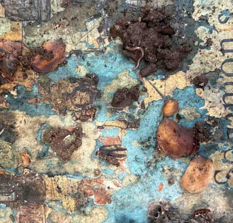 H. Rider Haggard’s King Solomon’s Mines, a few months after being ‘planted’ in a Johannesburg garden.