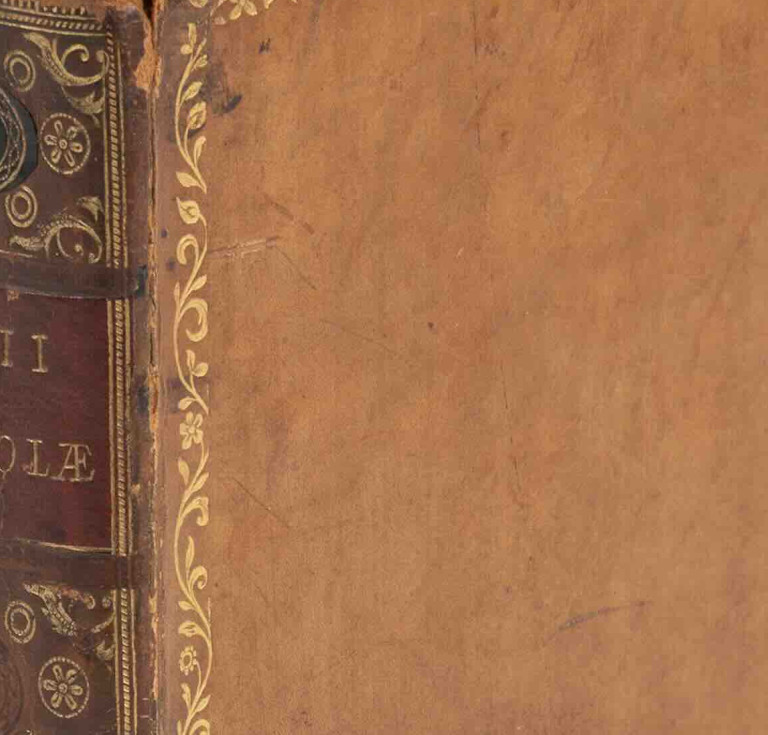 Pliny's Letters from the Aldine Press